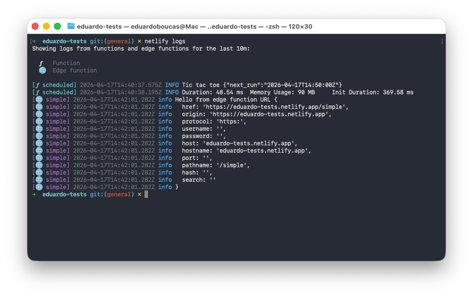 netlify logs CLI showing colour-coded output from functions and edge functions