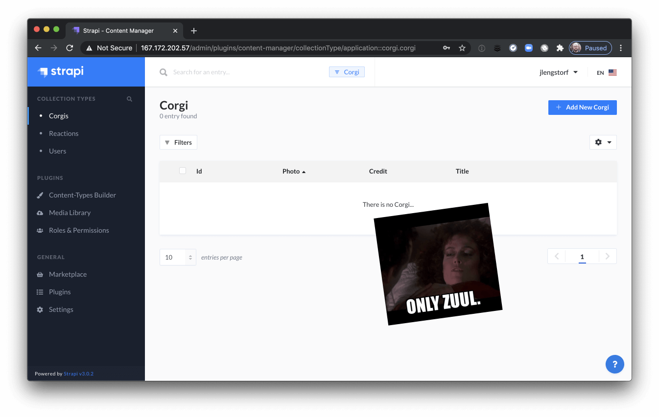 Same screenshot of above, but with the Ghostbusters meme with Siguorney Weaver when she says, “There is no Dana, only Zuul.”